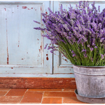 tawaraiさま専用ページ