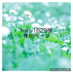 haru1629様専用ページ