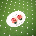 Kukka ⚘ ⁾⁾ Pierce （Earring）ビーズ刺繍