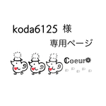 専用ページとなります𓂃◌𓈒𓐍