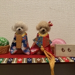 わんちゃんお雛様