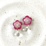 梅と朝露のピアス/イヤリング（赤ぼかし）