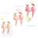 ～桜～  色が変わるWinterversion　イヤリング  ピアス