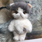 ［ まう 様 専用 ］スコティッシュ＆アメショ 猫ちゃん♡