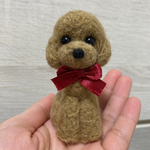 手のひらサイズ　ちーさいトイプードル   ヘーゼルブラウン