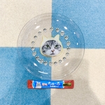 クリアプレートL（お皿）
