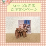 kne129様ご注文品＊愛犬のオリジナルリングスタンド