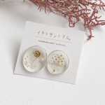 ◎ワイヤーのおはな