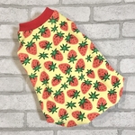 犬服☆服☆ハンドメイド★☆タンクトップ☆苺柄