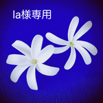 la様専用ページ