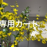 [hito1221様] 1/末まで販売　感謝を込めて☆2021年ハッピーバッグ　120センチ用