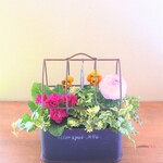 ❀myb2さま専用❀　🌹ラナンキュラスとジュリアンのアンティークなお花の寄せ植え　贈り物にも*
