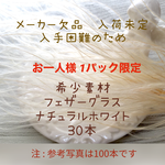 フェザーグラス  ナチュラルホワイト　３０本 　ドライフラワー