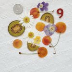 アンティークチェリーと押し花セット⑨ 押しフルーツ ハンドメイド 素材 パーツ レジン 飾り 押し花 ドライフルーツ チェリー さくらんぼ