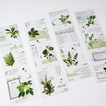 [ST014]　透明PETシール　leaf