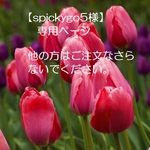 【spickygo5様】専用ページ　