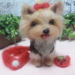 ちびヨーキー
