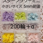 ●送料無料●スターフラワーミニ 小さめサイズ 5mm前後❁❀✿✾ケース入り 200輪＋α ハンドメイド 可愛いミニサイズ