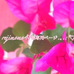 rejimomo41様専用ページ.｡.:*♡