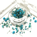 限定3個！かすみ草規格外サイズ＊Aqua Rose＊