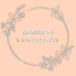 ★幼児さんサイズの立体マスク★ 2枚セット