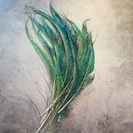 【クジャク 10枚】 剣 高品質 孔雀の羽根 ハンドメイド アクセサリー 装飾　羽　素材　鳥
