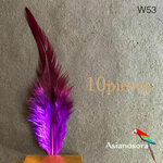 【W53紫】高品質　羽根 10枚 フェザー　ピアス　アクセサリー パーツ　羽　素材　鳥