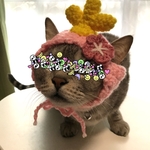 再販】お雛様.雛祭り.桃の節句.3月.ニット帽.猫.被り物.コスプレ.毛糸.ハンドメイド