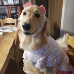 🛒Sちゃん🌟ご予約⭐︎準備中