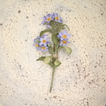 布花　勿忘草　ブローチ