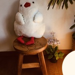 039ふわふわ文鳥クッション大