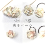 〜　Mei.117 様専用ページ　〜✿︎