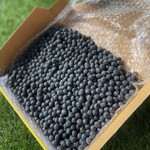 【送料無料】岡山県産 『丹波黒豆』1kg  大粒Lサイズ