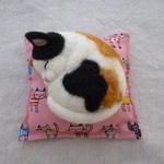 まる猫（三毛）