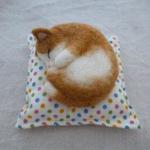 まる猫（茶白）