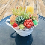 多肉キャンドル✳︎2