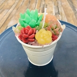 多肉キャンドル✳︎5