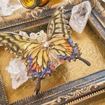 アゲハ蝶のバレッタ（hair ornaments of「life of butterfly」〜Swallowtail butterfly〜）.