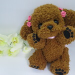 犬  プードル  テディベア  レッド  ぬいぐるみ  ハンドメイド