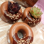 モルタルドーナツ チョコナッツ