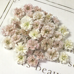 かすみ草　ドライフラワー　pink beige mix