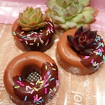 モルタルドーナツ チョコシュプレー