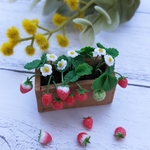 いちご🍓の鉢植え