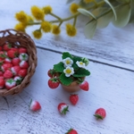 いちご🍓の小さな鉢植え