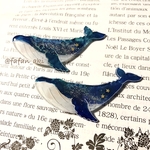 宇宙クジラのクリップ