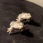 トッケイヤモリさんピアス