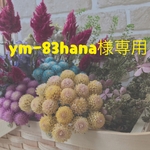 ym-83hana様専用ページ