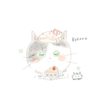 専用ページ