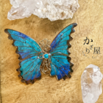 ブルーグリーンのモルフォ蝶のブローチ（標本タイプ）.（Brooch of blue green Morpho butterfly 〜Sealed time〜）　