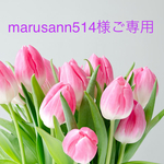 【marusann514様ご専用②】ミナペルホネン ハンドメイドパネル&ハンドメイドクッションカバーほか計4点